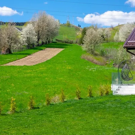 בית הארחה Bucovina &