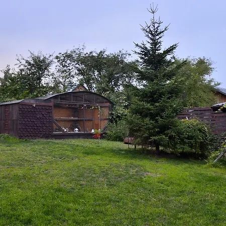 Bucovina & 4* Gura Humorului