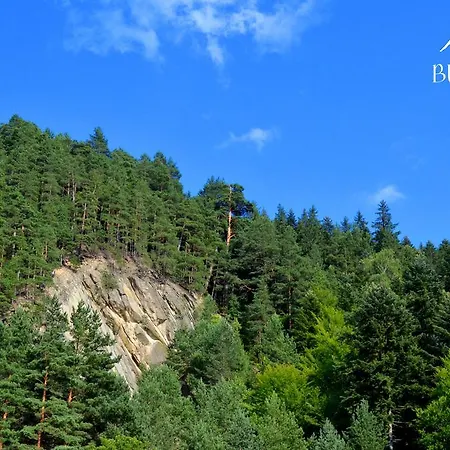 Bucovina & Maison d'hôtes 4*