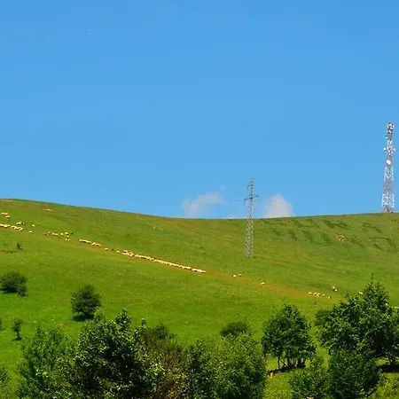 Bucovina & Maison d'hôtes Gura Humorului