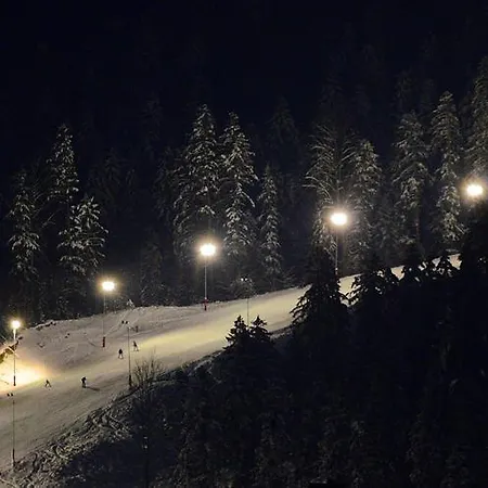 Bucovina & Maison d'hôtes Gura Humorului